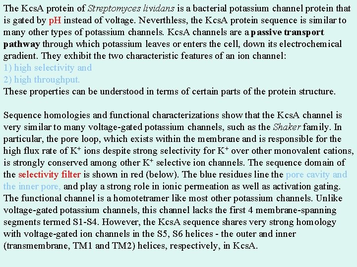 The Kcs. A protein of Streptomyces lividans is a bacterial potassium channel protein that The Kcs. A protein of Streptomyces lividans is a bacterial potassium channel protein that