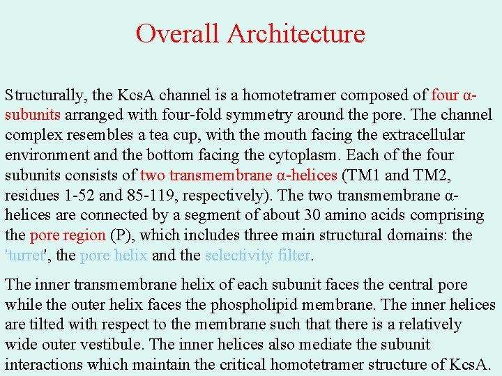 Overall Architecture Structurally, the Kcs. A channel is a homotetramer composed of four αsubunits Overall Architecture Structurally, the Kcs. A channel is a homotetramer composed of four αsubunits