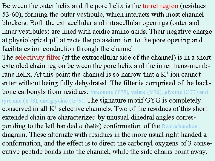 Between the outer helix and the pore helix is the turret region (residues 53 Between the outer helix and the pore helix is the turret region (residues 53