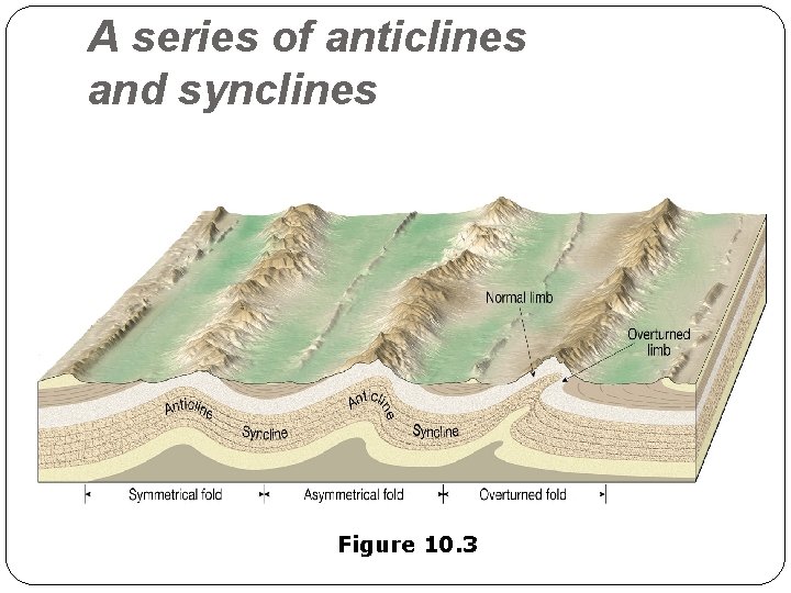 A series of anticlines and synclines Figure 10. 3 