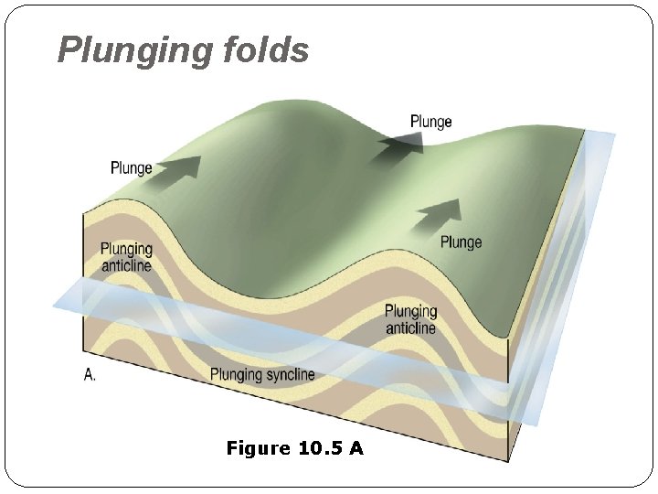 Plunging folds Figure 10. 5 A 