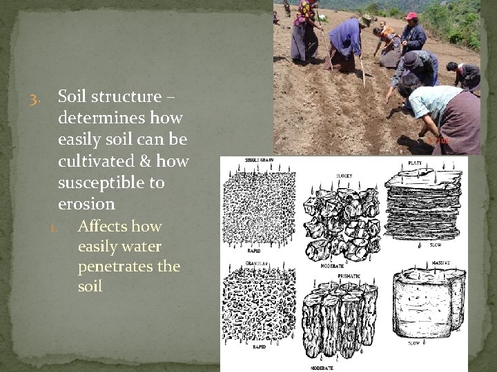 Weathering Soil Mass Movements Chapter 5 Weathering Mechanical