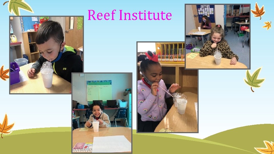 Reef Institute 