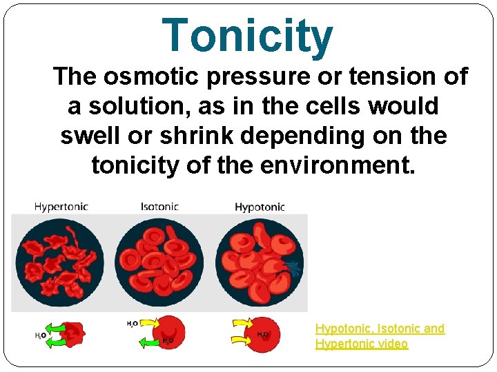 Tonicity The osmotic pressure or tension of a solution, as in the cells would