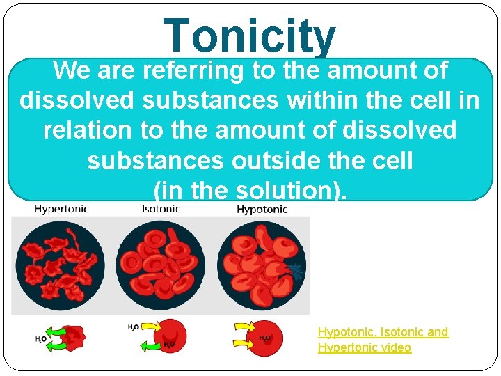 Tonicity We are referring to the amount of dissolved substances within the cell in