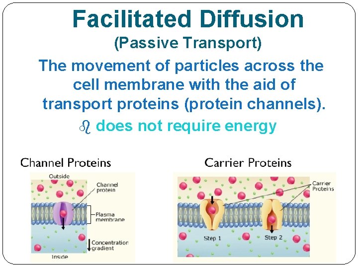 Facilitated Diffusion (Passive Transport) The movement of particles across the cell membrane with the