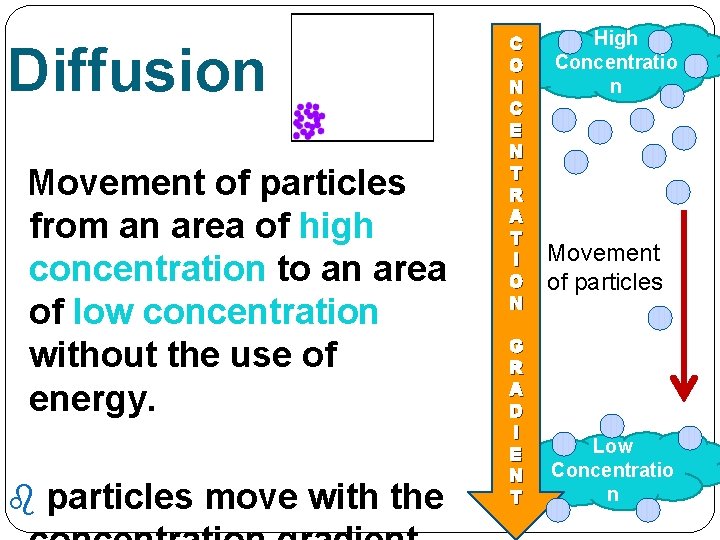 Diffusion Movement of particles from an area of high concentration to an area of