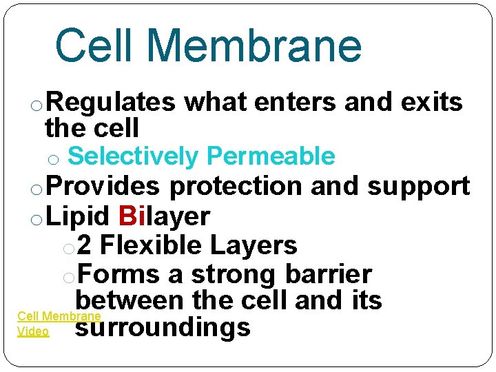Cell Membrane o. Regulates what enters and exits the cell o Selectively Permeable o.