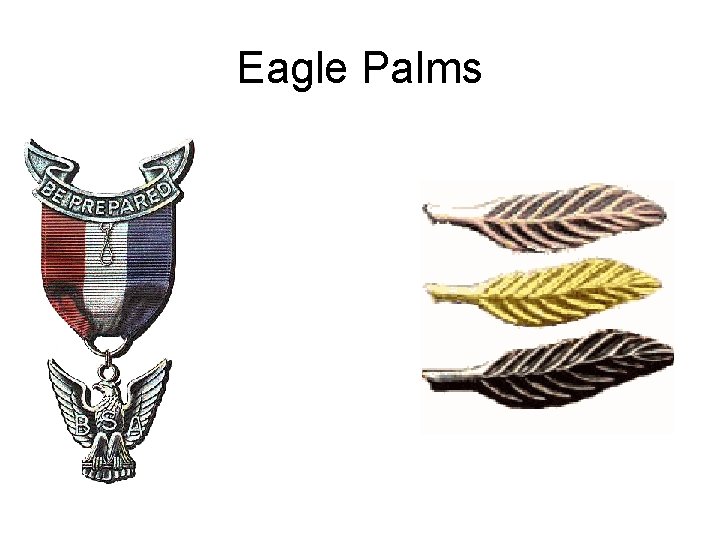 Eagle Palms 