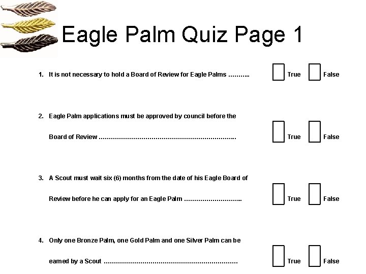 Eagle Palm Quiz Page 1 1. It is not necessary to hold a Board