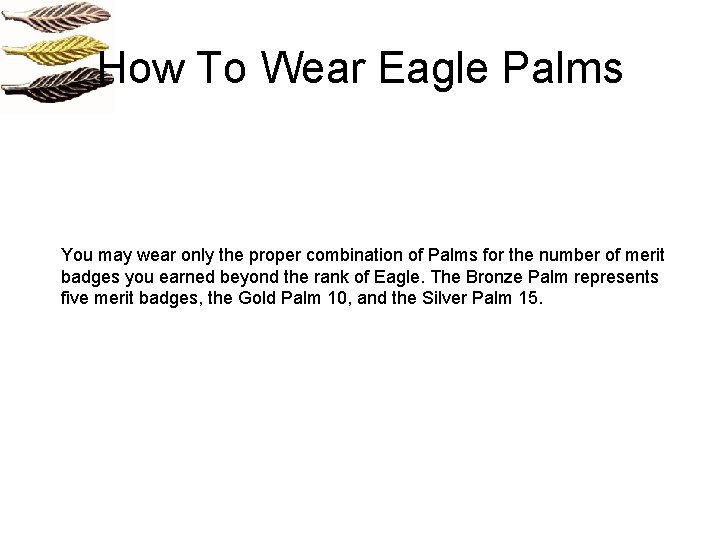 How To Wear Eagle Palms You may wear only the proper combination of Palms