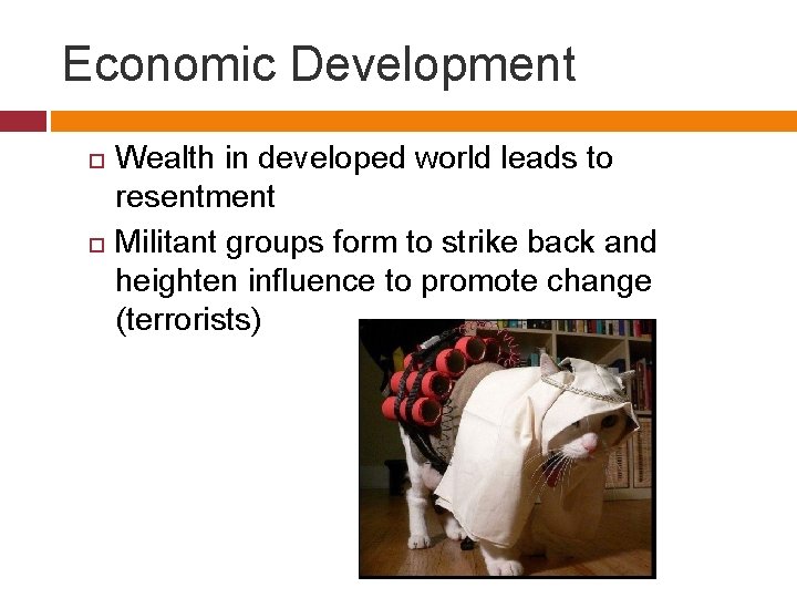 Economic Development Wealth in developed world leads to resentment Militant groups form to strike