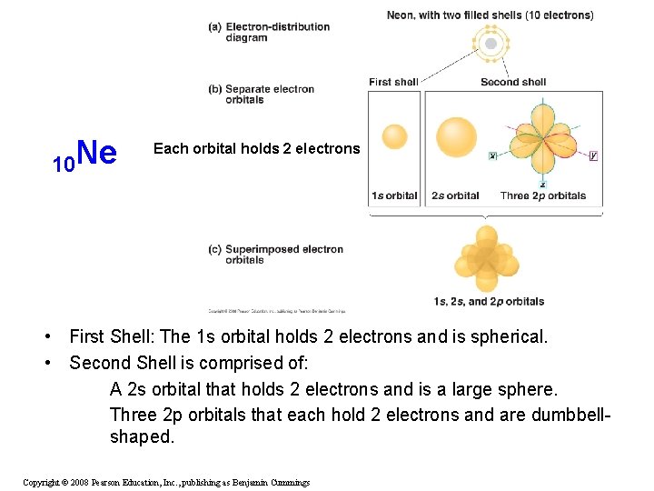 10 Ne Each orbital holds 2 electrons • First Shell: The 1 s orbital 10 Ne Each orbital holds 2 electrons • First Shell: The 1 s orbital