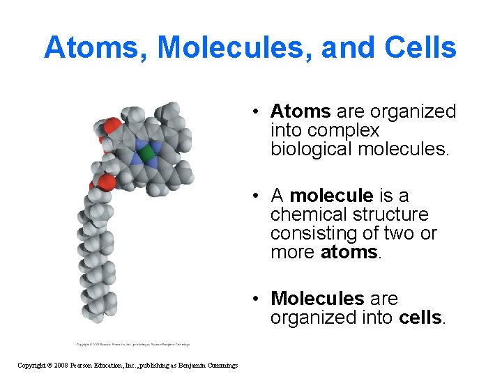 Atoms, Molecules, and Cells • Atoms are organized into complex biological molecules. • A Atoms, Molecules, and Cells • Atoms are organized into complex biological molecules. • A
