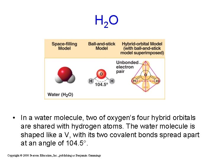 H 2 O • In a water molecule, two of oxygen’s four hybrid orbitals H 2 O • In a water molecule, two of oxygen’s four hybrid orbitals