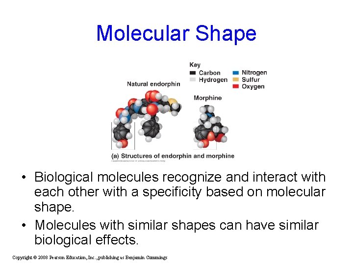 Molecular Shape • Biological molecules recognize and interact with each other with a specificity Molecular Shape • Biological molecules recognize and interact with each other with a specificity