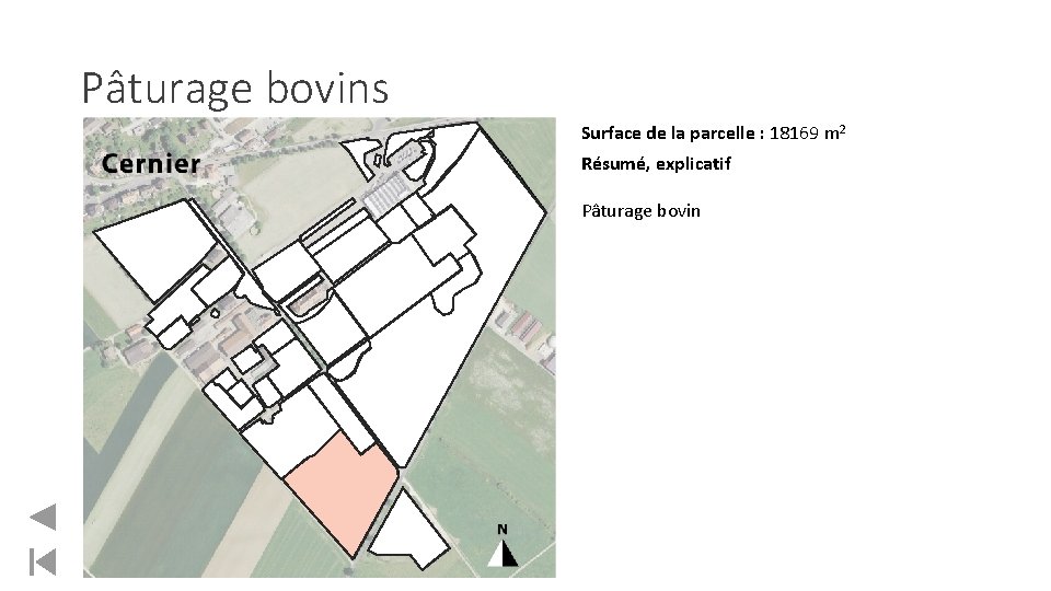 Pâturage bovins Surface de la parcelle : 18169 m 2 Résumé, explicatif Pâturage bovin