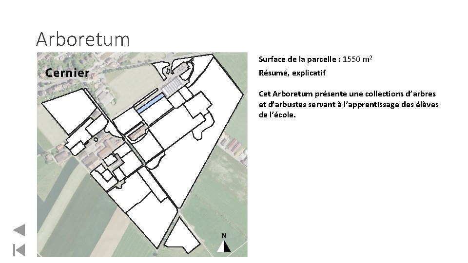 Arboretum Surface de la parcelle : 1550 m 2 Résumé, explicatif Cet Arboretum présente