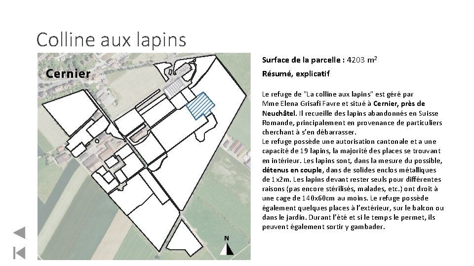 Colline aux lapins Surface de la parcelle : 4203 m 2 Résumé, explicatif Le