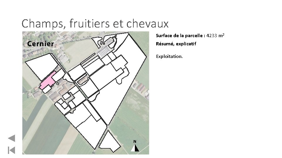 Champs, fruitiers et chevaux Surface de la parcelle : 4233 m 2 Résumé, explicatif