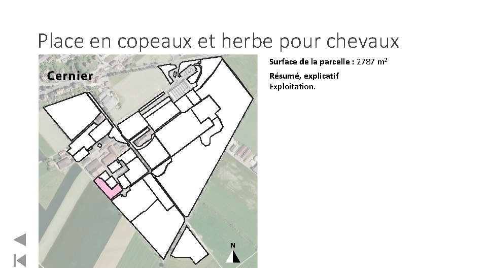 Place en copeaux et herbe pour chevaux Surface de la parcelle : 2787 m