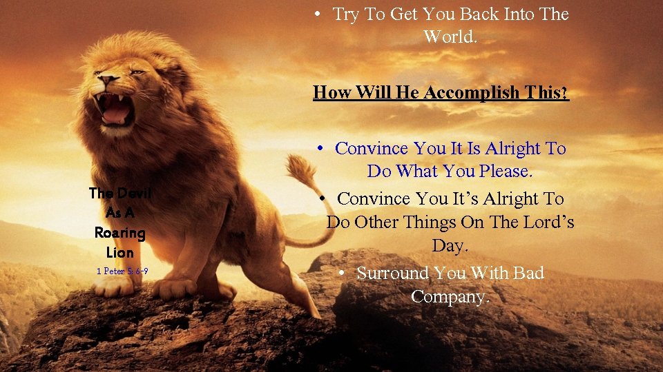 • Try To Get You Back Into The World. How Will He Accomplish • Try To Get You Back Into The World. How Will He Accomplish