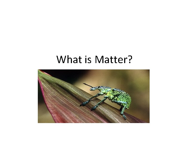What is Matter? 