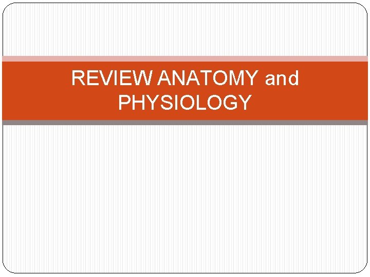 REVIEW ANATOMY and PHYSIOLOGY 