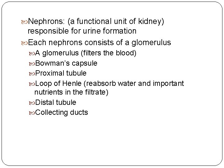  Nephrons: (a functional unit of kidney) responsible for urine formation Each nephrons consists