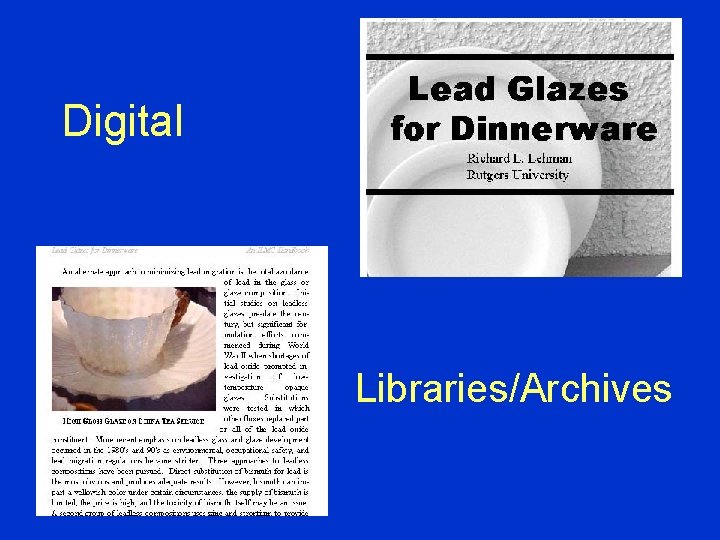 Digital Libraries/Archives 