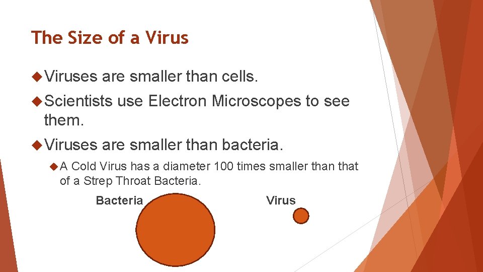 The Size of a Viruses are smaller than cells. Scientists use Electron Microscopes to