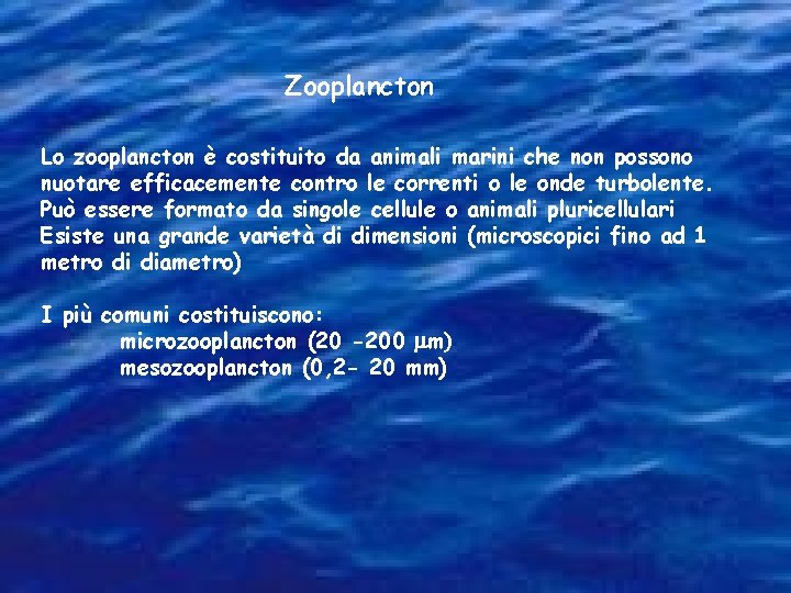 Zooplancton Lo zooplancton è costituito da animali marini che non possono nuotare efficacemente contro