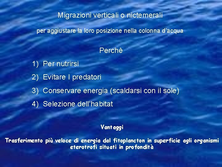 Migrazioni verticali o nictemerali per aggiustare la loro posizione nella colonna d’acqua Perchè 1)