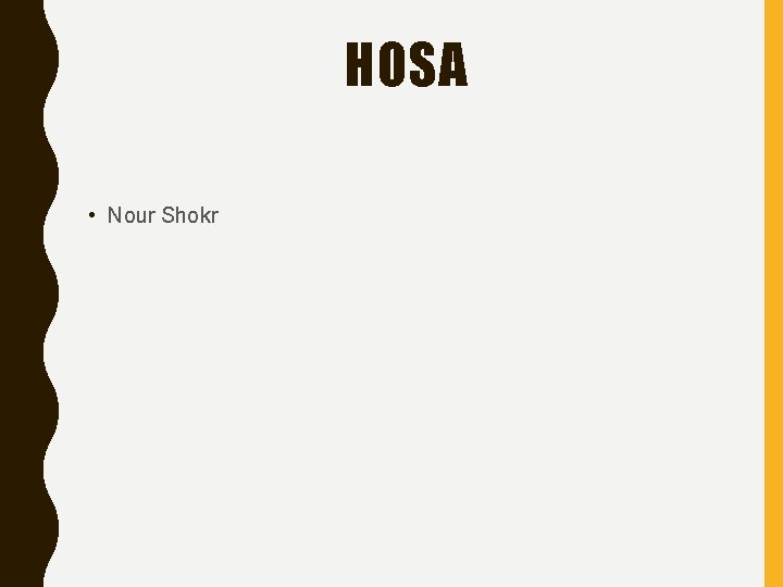 HOSA • Nour Shokr 