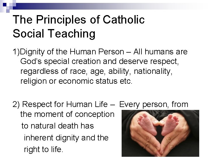 SOCIAL JUSTICE Contd pp 255 263 Social Encyclicals