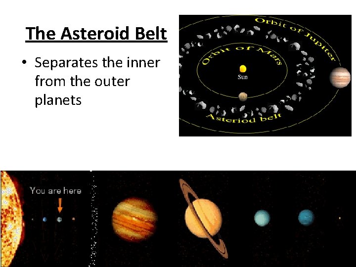 The Asteroid Belt • Separates the inner from the outer planets 