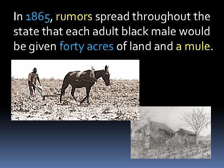 In 1865, rumors spread throughout the state that each adult black male would be