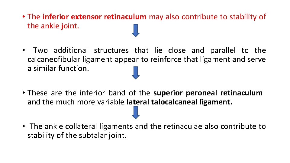 • The inferior extensor retinaculum may also contribute to stability of the ankle • The inferior extensor retinaculum may also contribute to stability of the ankle