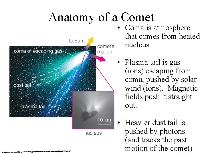 Anatomy of a Comet • Coma is atmosphere that comes from heated nucleus •