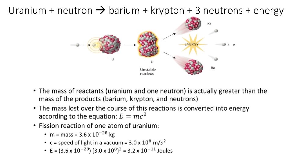 Uranium + neutron barium + krypton + 3 neutrons + energy • 