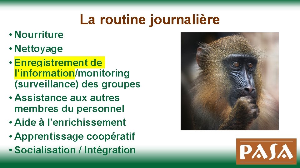 La routine journalière • Nourriture • Nettoyage • Enregistrement de l’information/monitoring (surveillance) des groupes