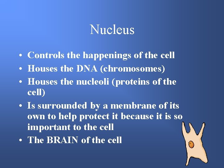 Nucleus • Controls the happenings of the cell • Houses the DNA (chromosomes) •