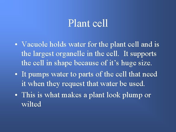 Plant cell • Vacuole holds water for the plant cell and is the largest