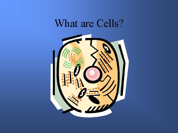 What are Cells? 