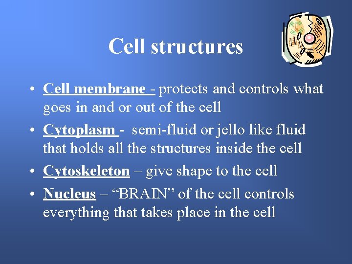 Cell structures • Cell membrane - protects and controls what goes in and or