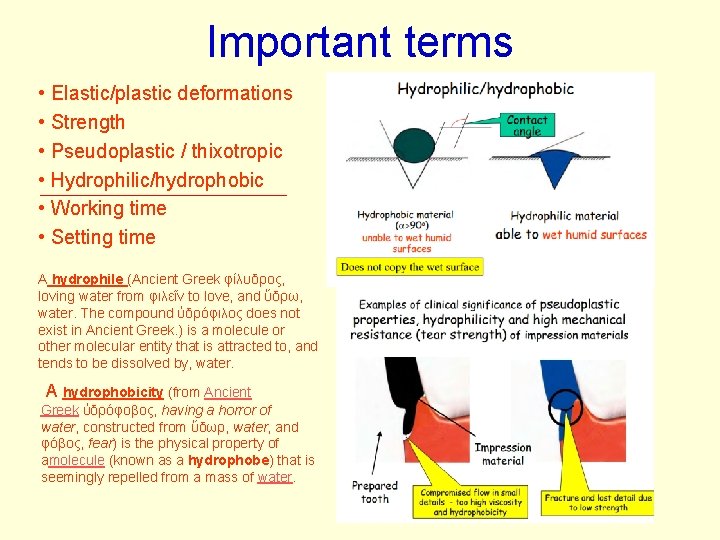 Important terms • Elastic/plastic deformations • Strength • Pseudoplastic / thixotropic • Hydrophilic/hydrophobic • Important terms • Elastic/plastic deformations • Strength • Pseudoplastic / thixotropic • Hydrophilic/hydrophobic •