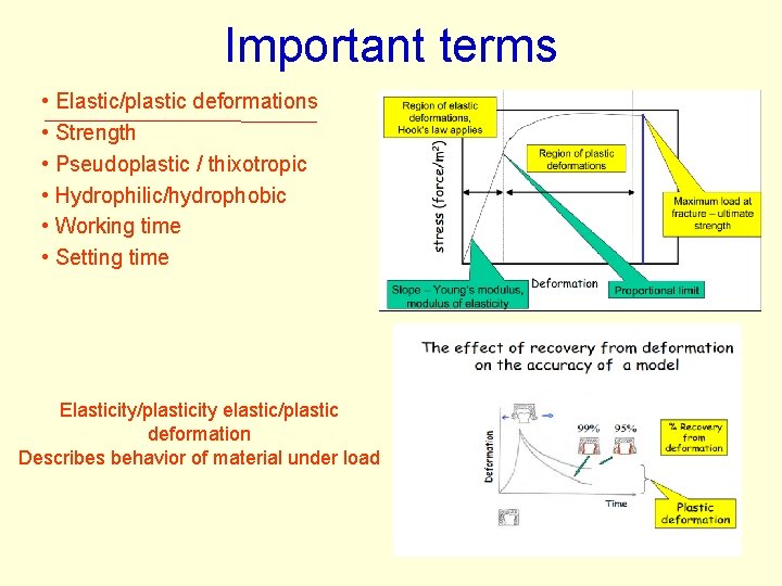 Important terms • Elastic/plastic deformations • Strength • Pseudoplastic / thixotropic • Hydrophilic/hydrophobic • Important terms • Elastic/plastic deformations • Strength • Pseudoplastic / thixotropic • Hydrophilic/hydrophobic •