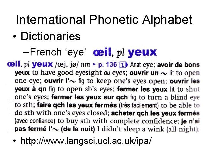 International Phonetic Alphabet • Dictionaries – French ‘eye’ • http: //www. langsci. ucl. ac.