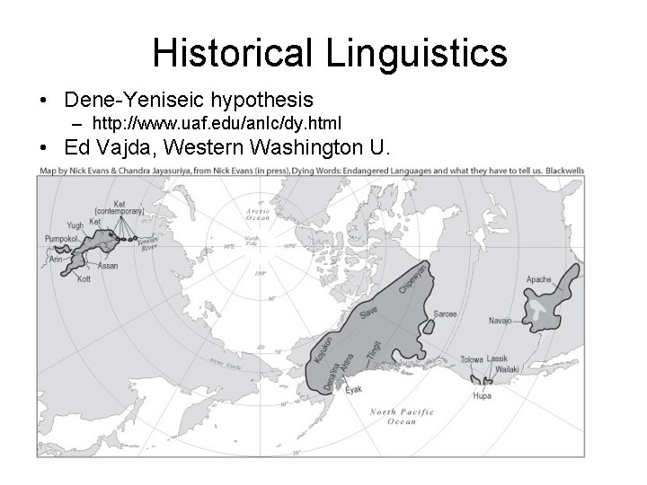 Historical Linguistics • Dene-Yeniseic hypothesis – http: //www. uaf. edu/anlc/dy. html • Ed Vajda,