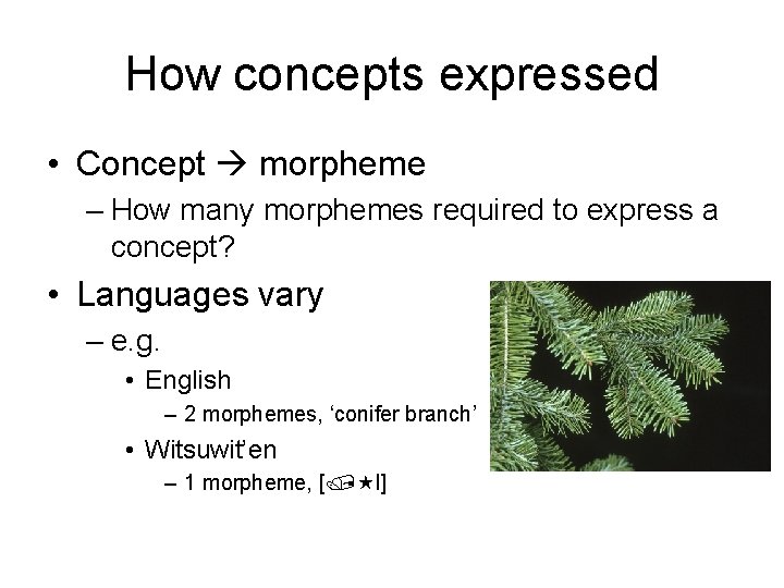 How concepts expressed • Concept morpheme – How many morphemes required to express a